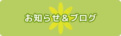 お知らせ＆ブログ